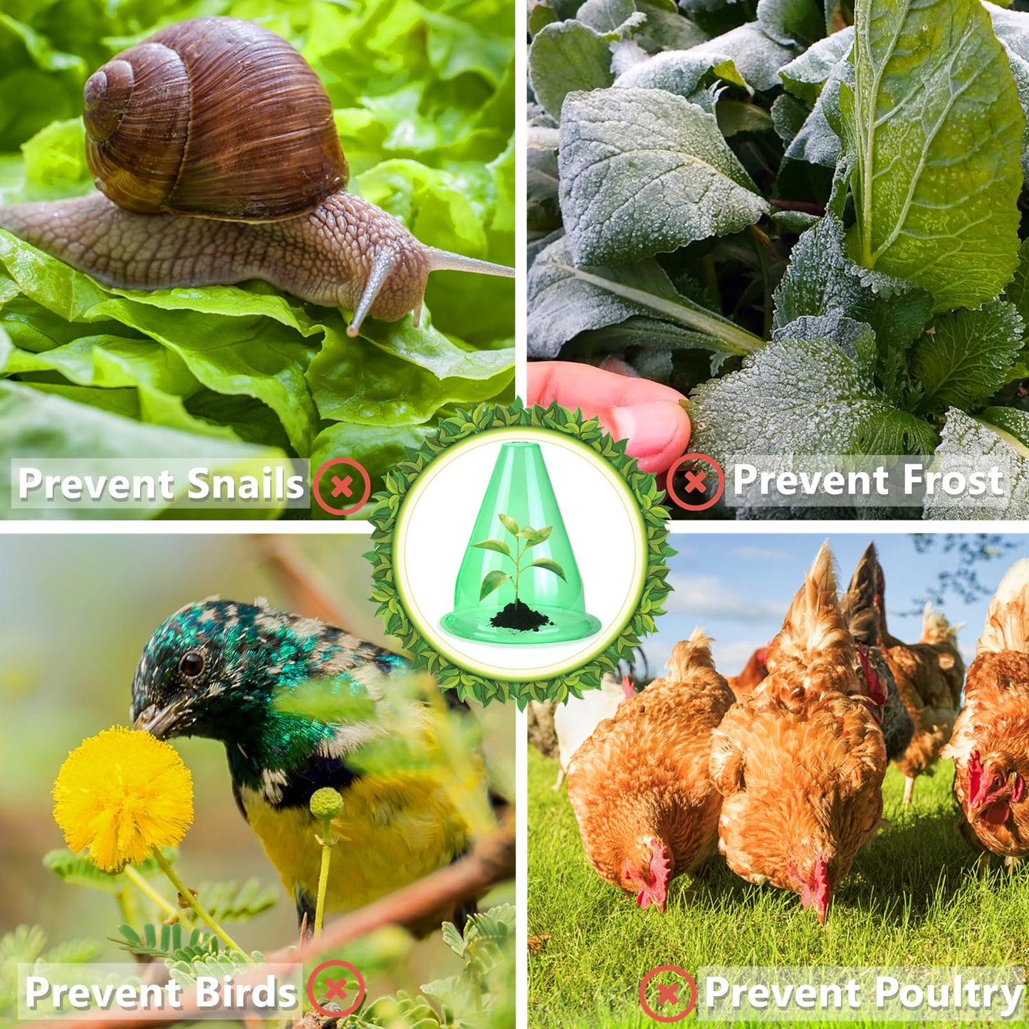 【12 Pieces】 Garden Cloches for Plants, Multifunctional Plant Covers Plant Protectors Transparent Bell Jar Cloches to Protect Plants from Birds, Slugs, Frost, Freeze Weather, 7.8" D x 9.4" H, Green