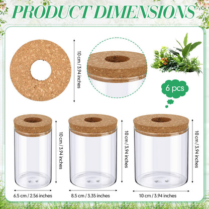Ferrochef 6 Pcs Glass Plant Propagation Stations (2 Large + 2 Medium + 2 Small) Hydroponic Flower Vases Desktop Plant Terrarium Jar for Cuttings, for Living Room, Bedroom, Home Decoration