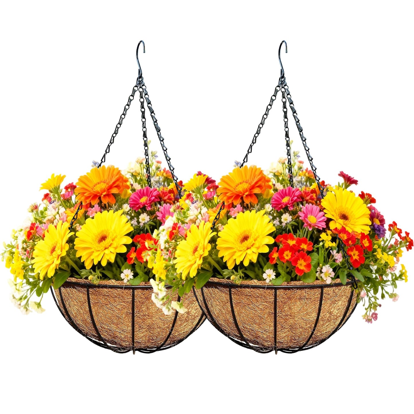 ZVOWOS 2 Pack 12 Inch Black Metal Hanging Basket Hanging Planter with Coco Coir Liner Heavy Duty Hanging Flower Pot Holder for Indoor Outdoor Patio Garden Porch Balcony Decor (Watermelon)