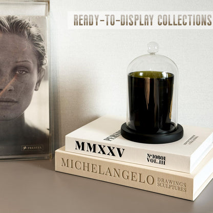 Chicooan 4-in-1 Decorative Books Set, Coffee Table Books Decor, 2 Linen Fake Book Boxes with Wood Tray, Bead Garland for Decoration, Bookshelf Boho Neutral Aesthetic Decor