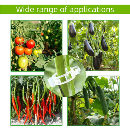 CIQIYO® 100 Pcs Plant Support Clips,Plastic Clips for Securing Plants,Tomato Vine Clips,Plant Fixing Clips,Garden Clips for Climbing Plants,Grape and Vine Vegetables (100, Green)