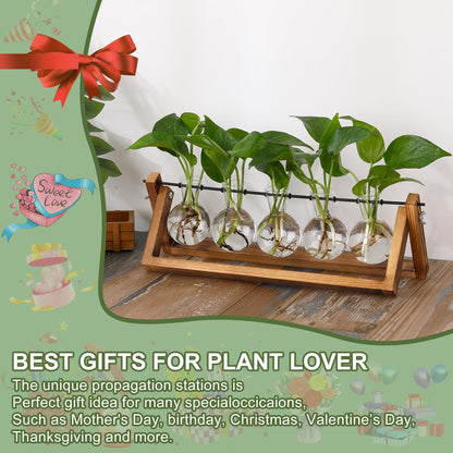 YIBOT Propagation Stations,Plant Terrarium with Wooden Stand,Plant Lover Gifts for Women for Hydroponics Plants Home Garden Wedding Decor(5 Bulb Vase)