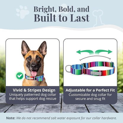 Lucky Love Dog Martingale Dog Collar & Leash - Adjustable, No-Slip, Durable, Comfortable, Soft Webbing, & Stylish Patterned Collar & Leash Set for Male and Female Dogs - Nacho Combo, Large