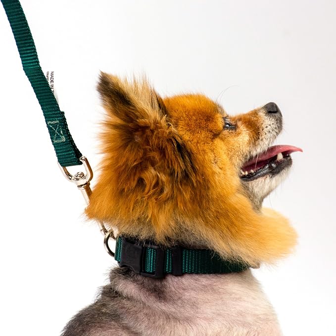Country Brook Petz - Deluxe Nylon Dog Collar and Leash - 10+ Cool Colors (3/4 Inch, Small, Green)