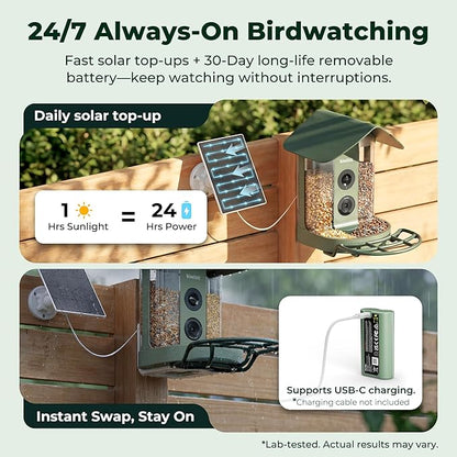 Kiwibit Smart Bird Feeder with Camera, Solar Powered for Outdoors, Bird Species AI Identification, 8MP Photo, 4K Video Livestream, Real-Time Bird Alert, Birdwatching Gift for Bird Lovers, Forest Birch