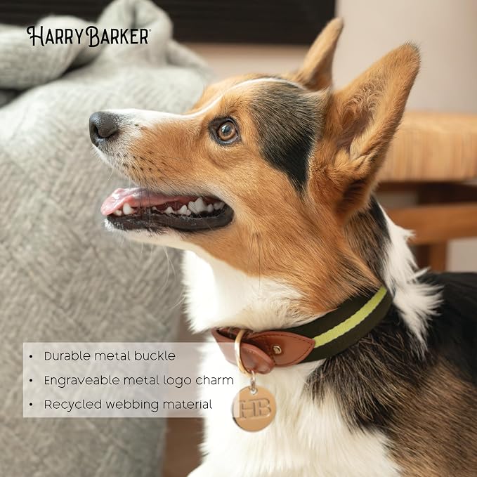HARRY BARKER Duo Dog Leash and Collar, Small Green Collar
