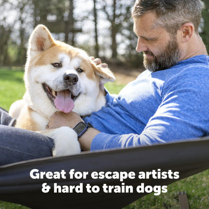 PetSafe Stubborn Dog Fence Collar - Dog Electric Collar Waterproof Receiver, Battery Operated, In Ground Containment for Pets, from The Parent Company of Invisible Fence Brand