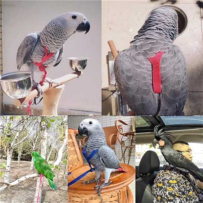 Adjustable Bird Harness and Leash,Anti-Escape Durable Nylon Parrot Harness, Flying Training Rope Parrot Leash for Small Medium Large Breed Parrots Fits Chest Under 24.4'', Purple L