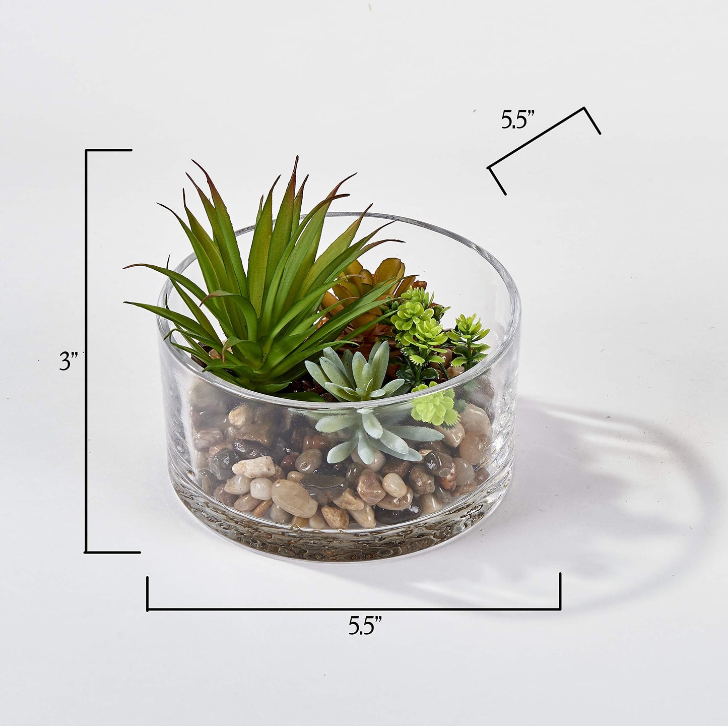 WORTH IMPORTS Artificial Succulents Dish Garden in 5.5" Round Glass Container with Pebbles