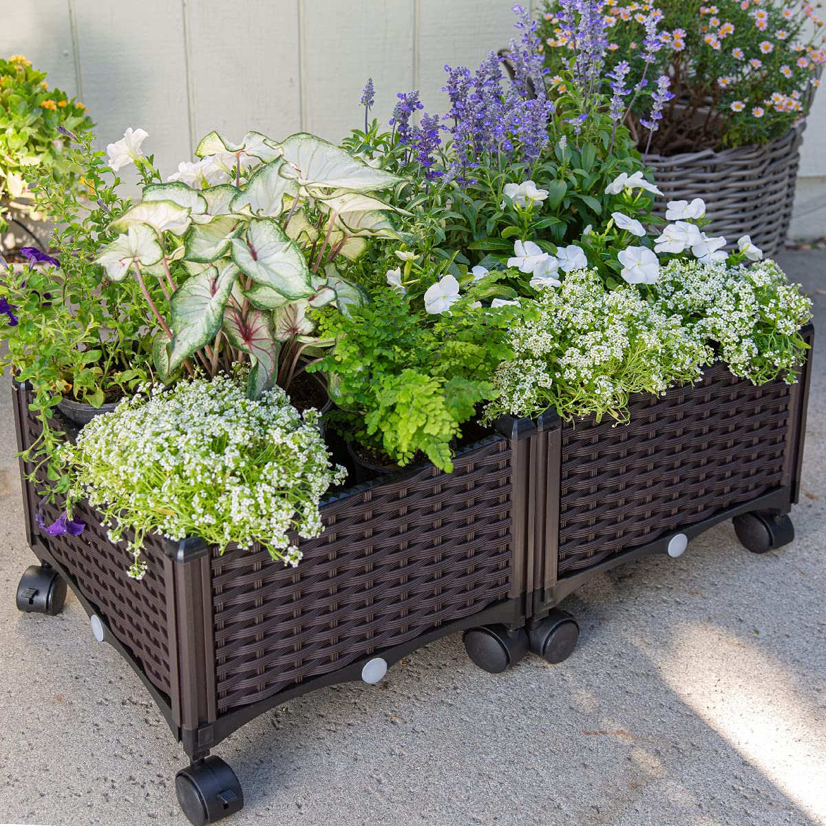 Barton 2 Pieces Rolling Garden Bed Brown Plastic w/Self-Watering Design Outdoor Elevated Planter Box Kit Wheels Mobile