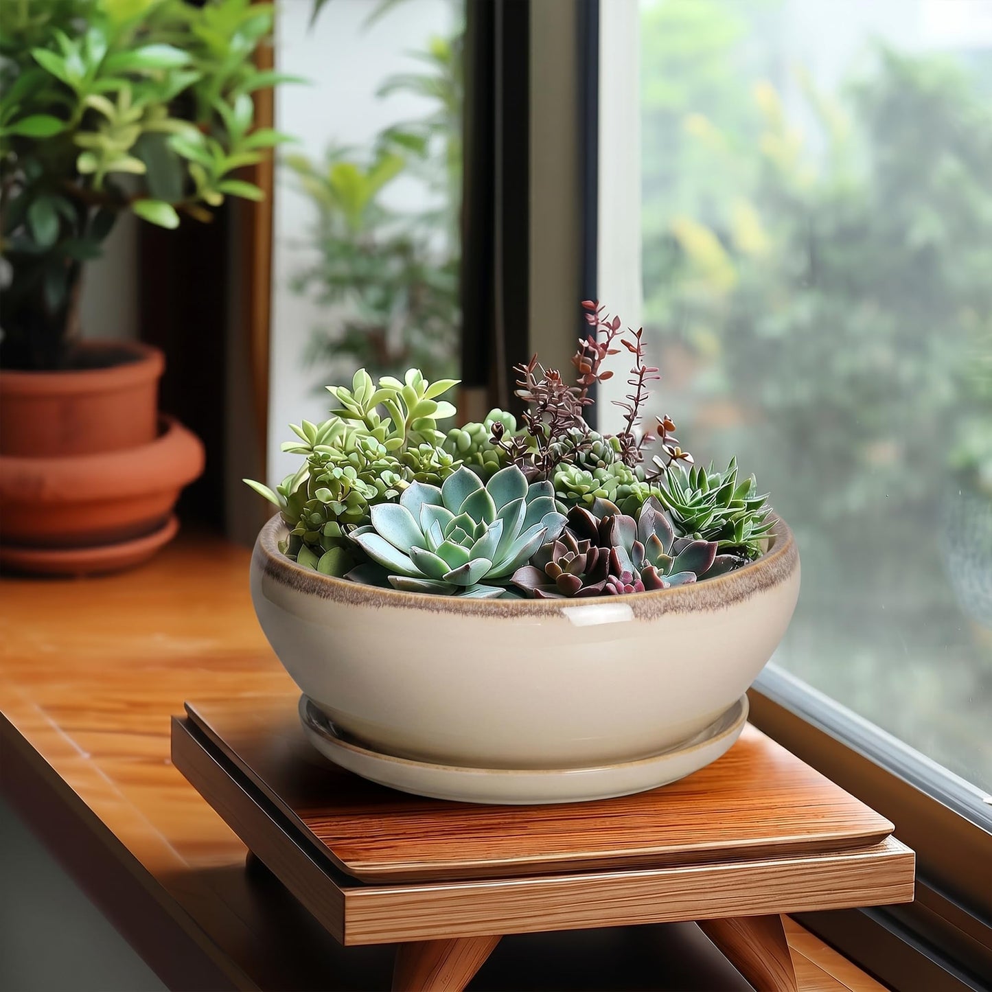 SQOWL Succulent Pots 8 Inch - Ceramic Bonsai Pots for Indoor Plants, Round Shallow Plant Pot with Drainage Hole and Saucer, Bowl Planter Outdoor, Patio Decor, Plant Lover Gifts, Beige