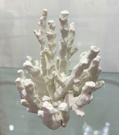 Abbott Collection 20-SEASHORE/45 Small White Finger Coral Decorative Resin Figurine