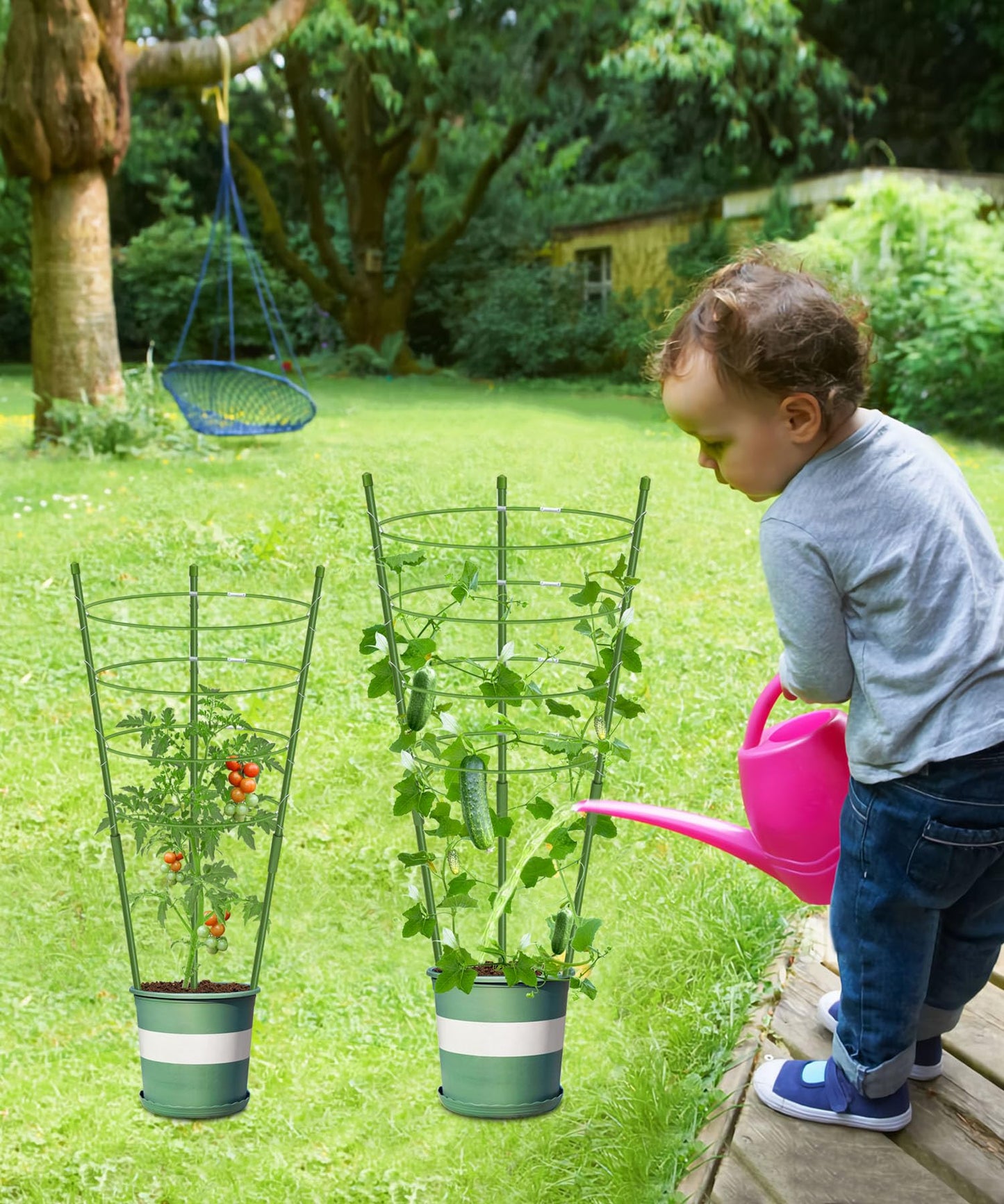 Mimeela 4 Pack Garden Plant Support Tomato Cage, Upgrade 36'' Trellis for Climbing Plants, Plant Trellis Kits with 4 Self Watering Spikes and 20 Plant Clips (36'') (Upcage-4T-23)