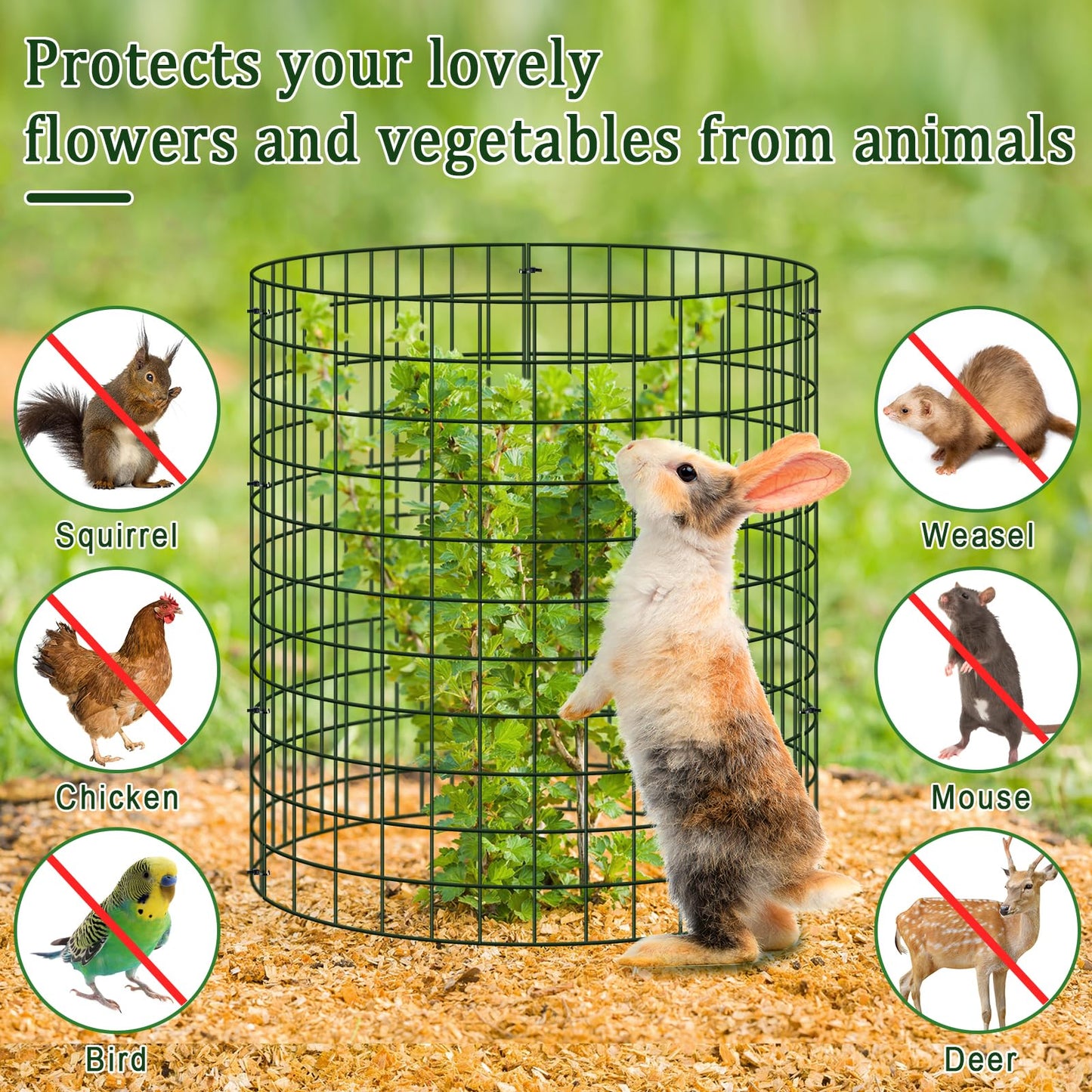 10 Pack Plant Protectors from Animals, 13.5" Dia X 14" H Wire Plant Protector Cage, 30pcs Metal Mesh Garden Cloches to Keep Rabbits, Squirrels and Chicken Out and Protection Vegetables Flowers Shrubs