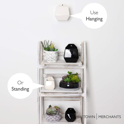 Milltown Merchants Succulent Wall Planters - Wall Vases - White Ceramic Wall Mounted Planters - Succulent Plant Pots - Hanging Vases for Living Wall (2 Pack/Contemporary/White)