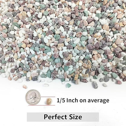 YISZM 5LB Succulent and Cactus Gravel Pebbles, 1/5 Inch Natural Decorative Polished Stones, River Rocks for Vases Gardening Indoor and Outdoor Decorative Rocks, Colorful