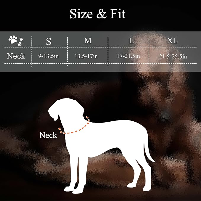 MagEase Dog Collar with 4FT Leash | Adjustable | Anti-Wrinkle, Bite & Stain-Resistant Leather | Soft & Skin-Friendly | 450LB Escape-Proof Magnetic Buckle (Navy Blue, Small)