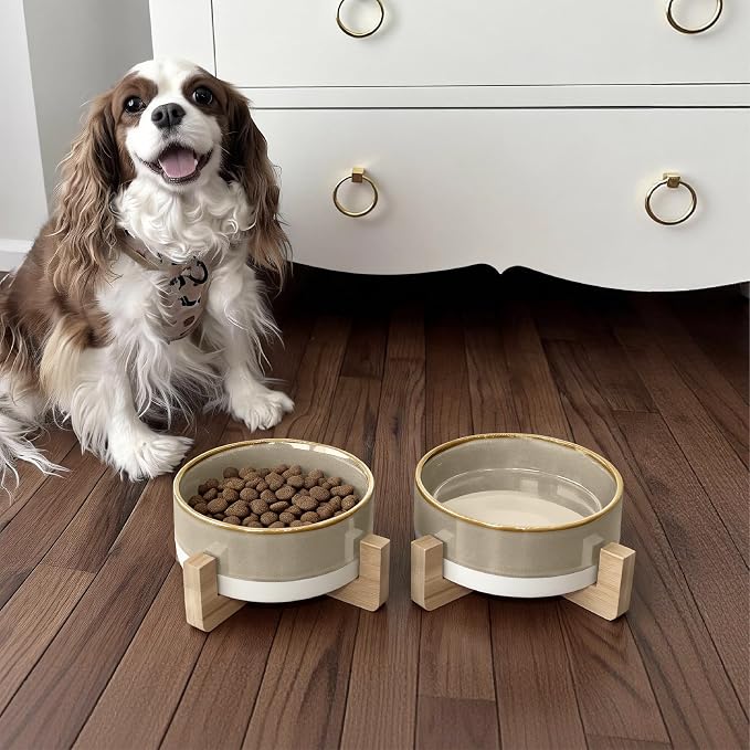 Elevated Ceramic Cat and Dog Double Bowl Set - 14 oz Lead-Free Feeder with Two Natural Bamboo Wood Stands (Brown)