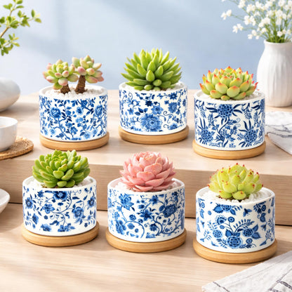 celamos Succulent Pots 6 Pack, Small Flower Pots with Drainage Bamboo Tray, Succulent Pots for Indoor Plants, Cactus Pots and Planters, Decorative Small Pots for Home Office