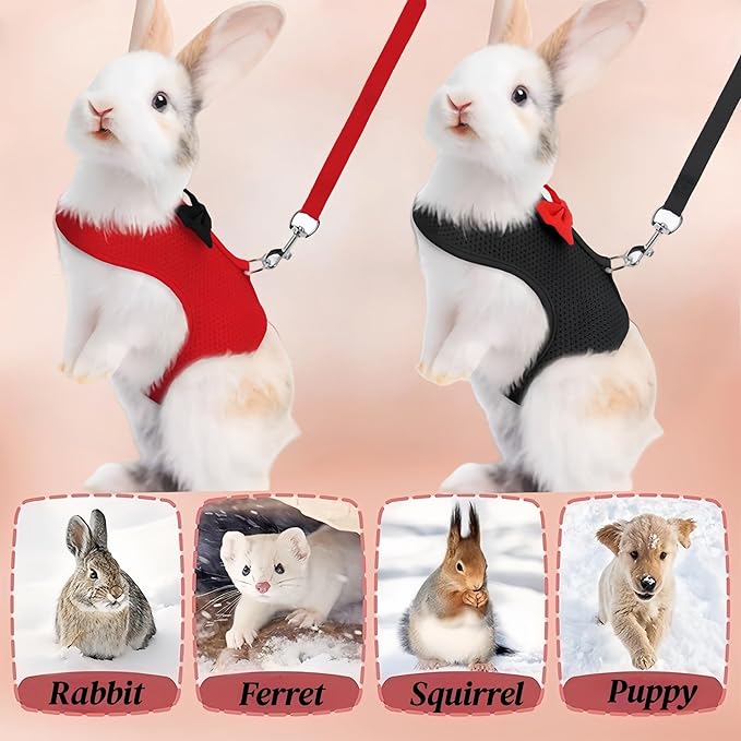 2 Pack Adjustable Bunny Rabbit Harness and Leash Set Breathable Mesh Vest Harness for Rabbits Kitten Ferret Puppy Small Pets Walking Supplies-Black&Red,L