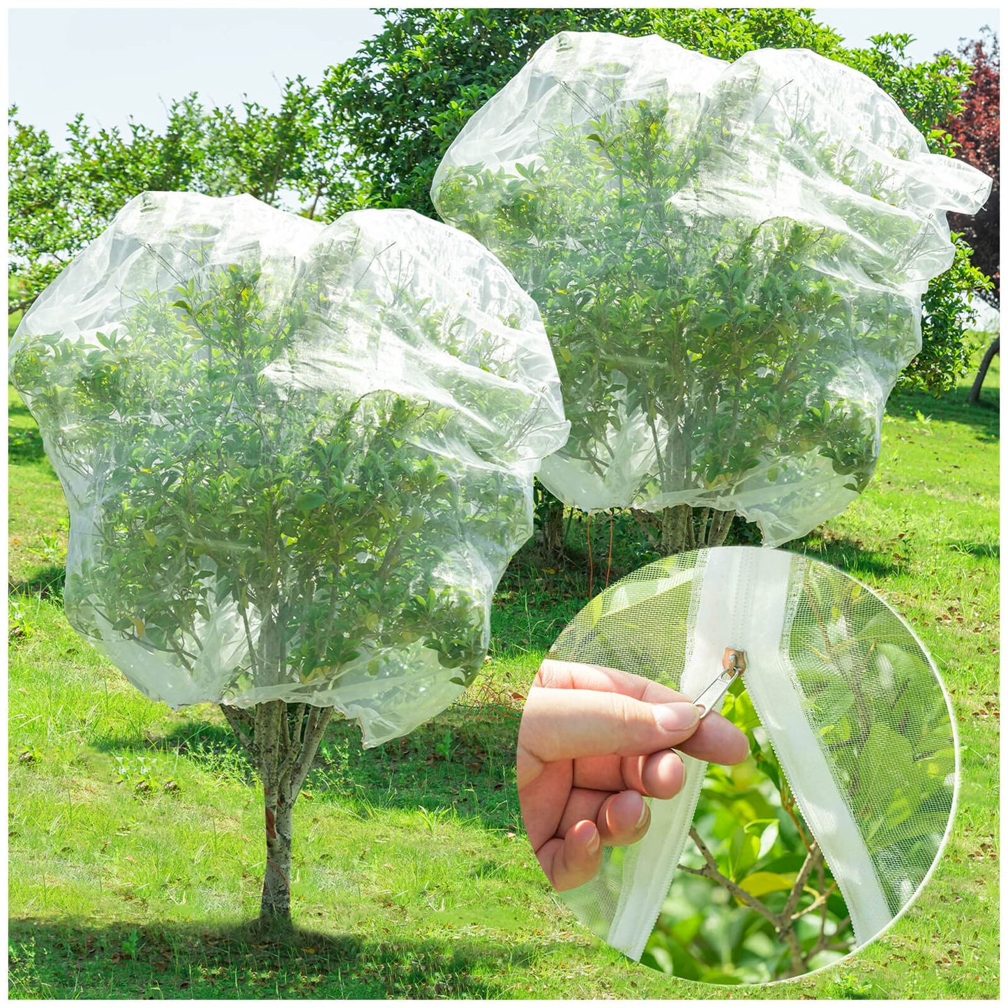 Large Fruit Orchard Netting, 6.56 x 6.56 FT Plant Netting with Zipper and Drawstring, Garden Netting to Protect Fruit from Anti Birds, Bugs, Cicadas, Insects