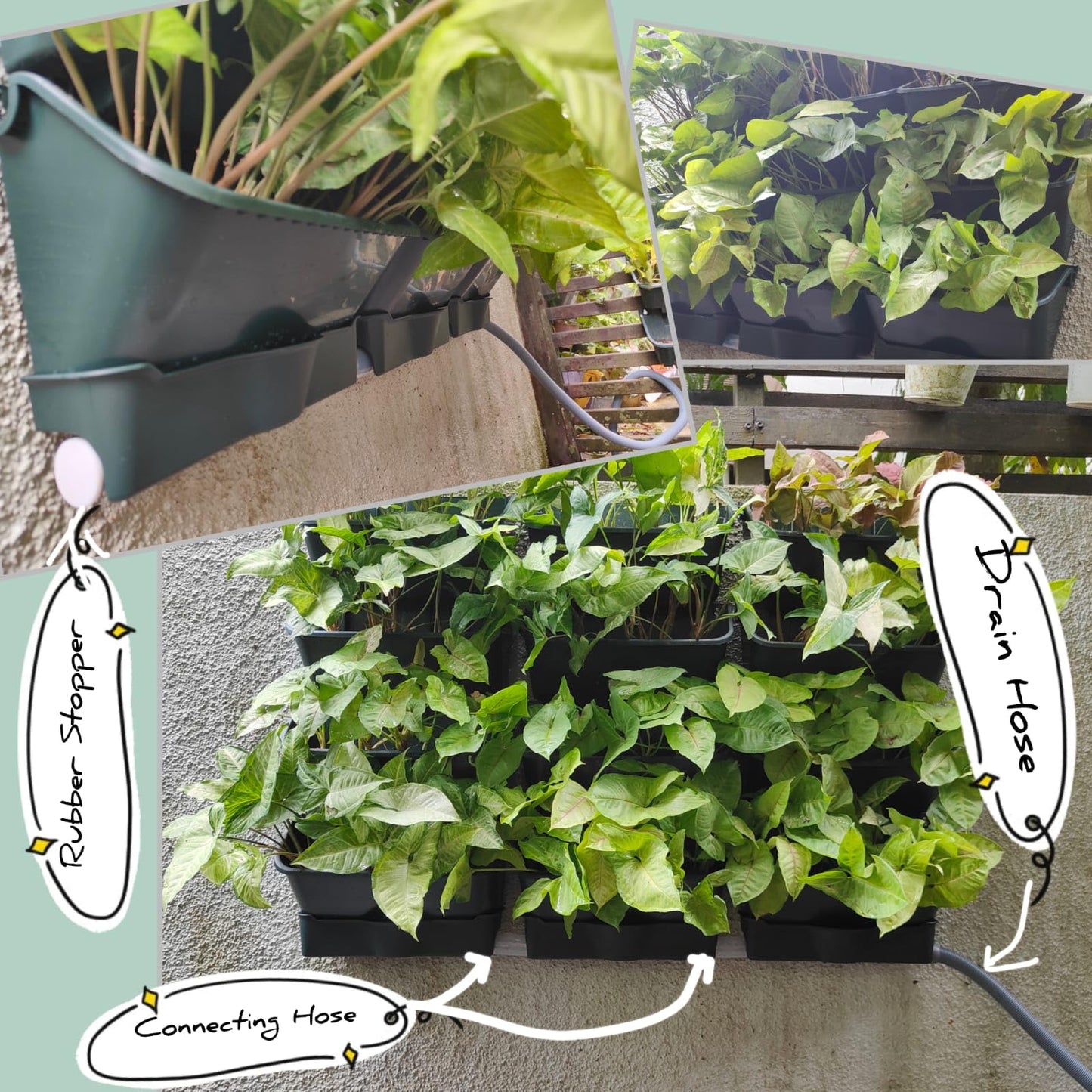Maxona Vertical Wall Planter for Indoor Plant-Walls Mounted Pot with 2 Drainage Tray 8 Pack, 13 inch Dark Green for Indoors and Outdoor Decor, Plastic Pots Balcony Planters, Plants Hanging