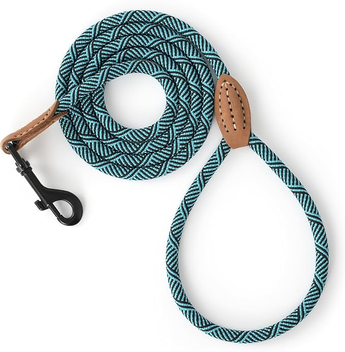Mile High Life Small Dog Leash, Thin Rope Leash with Genuine Leather Connection and Heavy Duty Metal Clasp, Great for Small Medium Dogs(Turquoise Green, 48 Inch-1/3)
