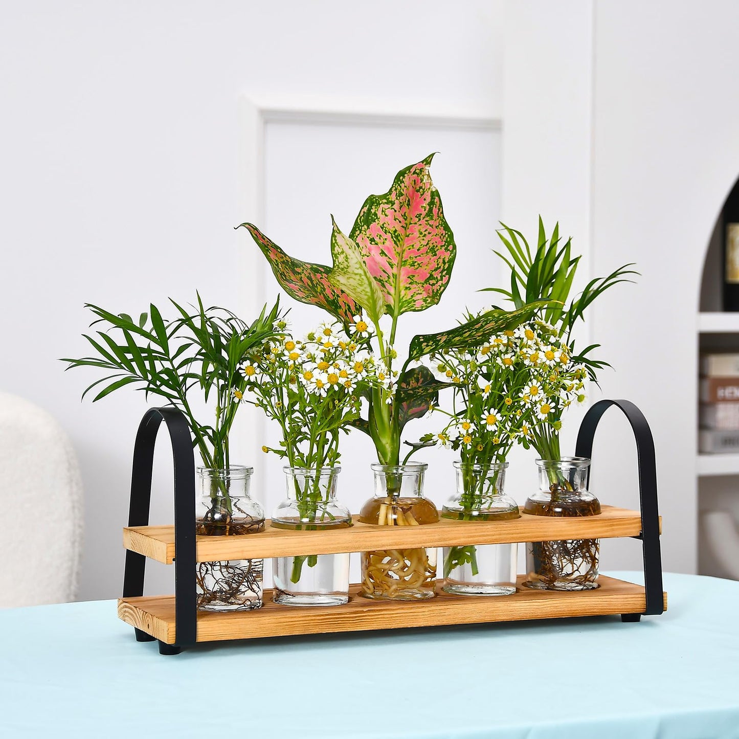 VIKEYHOME Plant Propagation Station with Wood Stand, Desktop Terrarium for Hydroponic, Flower Vase for Home, Kitchen, Office Decor, Plants Lover Gifts