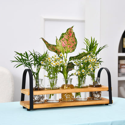 VIKEYHOME Plant Propagation Station with Wood Stand, Desktop Terrarium for Hydroponic, Flower Vase for Home, Kitchen, Office Decor, Plants Lover Gifts