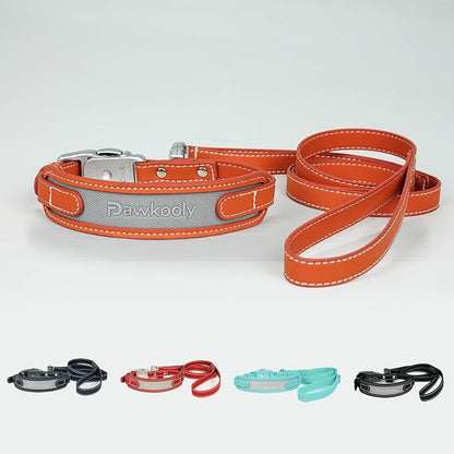 MagEase Dog Collar with 4FT Leash | Adjustable | Anti-Wrinkle, Bite & Stain-Resistant Leather | Soft & Skin-Friendly | 450LB Escape-Proof Magnetic Buckle (Orange, Large)