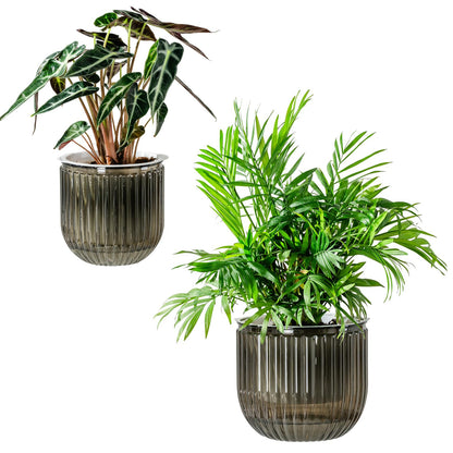 Melphoe Self Watering Pots for Indoor Plants Planter, 6.5/5.3 Inch 2 Pack Planters Self Watering Plant Pots for Flower, Houseplants, Succulent, African Violets and Cactus with Drainage