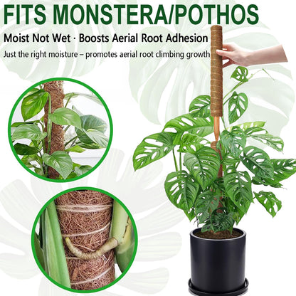 Soupiar 2 Pack 22 Inch Stackable Moss Pole - Thick & Sturdy Natural Coir Totem Plant Support & Garden Stakes for Monstera & Pothos, Indoor Climbing Vining Houseplants, 38" H Max