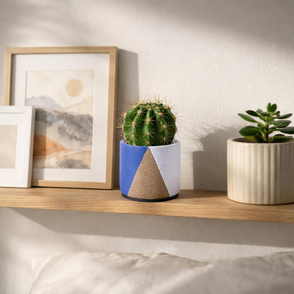 D'vine Dev 3.5" Stoneware Cachepot Planter with 3" Clear Nursery Pot & Detachable Saucer – Indoor Plant Pot with Drainage for Bottom Watering & Root Visibility, Cobalt Canyon, Set of 2, 93-V-A-3