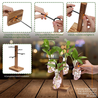 Plants Propagation Stations Skull Glass Propagation Birthday Gift for Women Garden Plant Lovers - 4 Skull