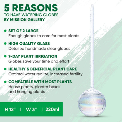 Mission Gallery Clear Plant Watering Globes Set of 2 - Large Self Watering Globes for Indoor & Outdoor Plants - Automatic, Glass Watering Bulbs for Daily Use, Plant Watering Devices
