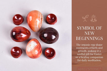 AMOYSTONE Red Agate Eggs Set of 4 (Polished Banded Agate) - Natural Gemstone Specimens with Wooden Base for Display & Collection (1.5-2 Inch, 2.8 oz)
