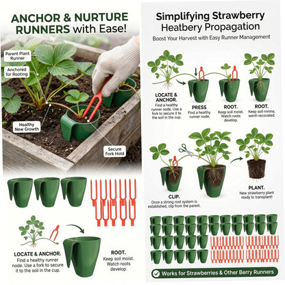 Xoeryoy Propagation Cups, 20PCS Small Strawberry Propagation Cups with 50 Vine Press Forks Plastic Planter for Runner Rooting & Transplanting