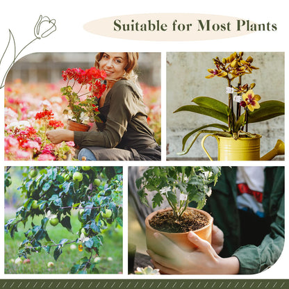 50Pcs Orchid Clips Plastic Dragonfly Butterfly Plant Clips,Portable Garden Plant Support Clip for Supporting Stems Orchid Vines Stalks Climbing Plants Grow Uprigh