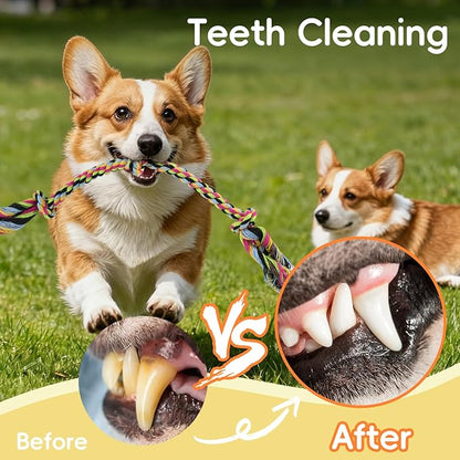 wodoca [4 Pack Dog Rope Toys, Puppy Teething Cotton Knot Chew Rope for Small Medium Dogs, Interactive Tug of War Dog Toys for Boredom, Teeth Cleaning