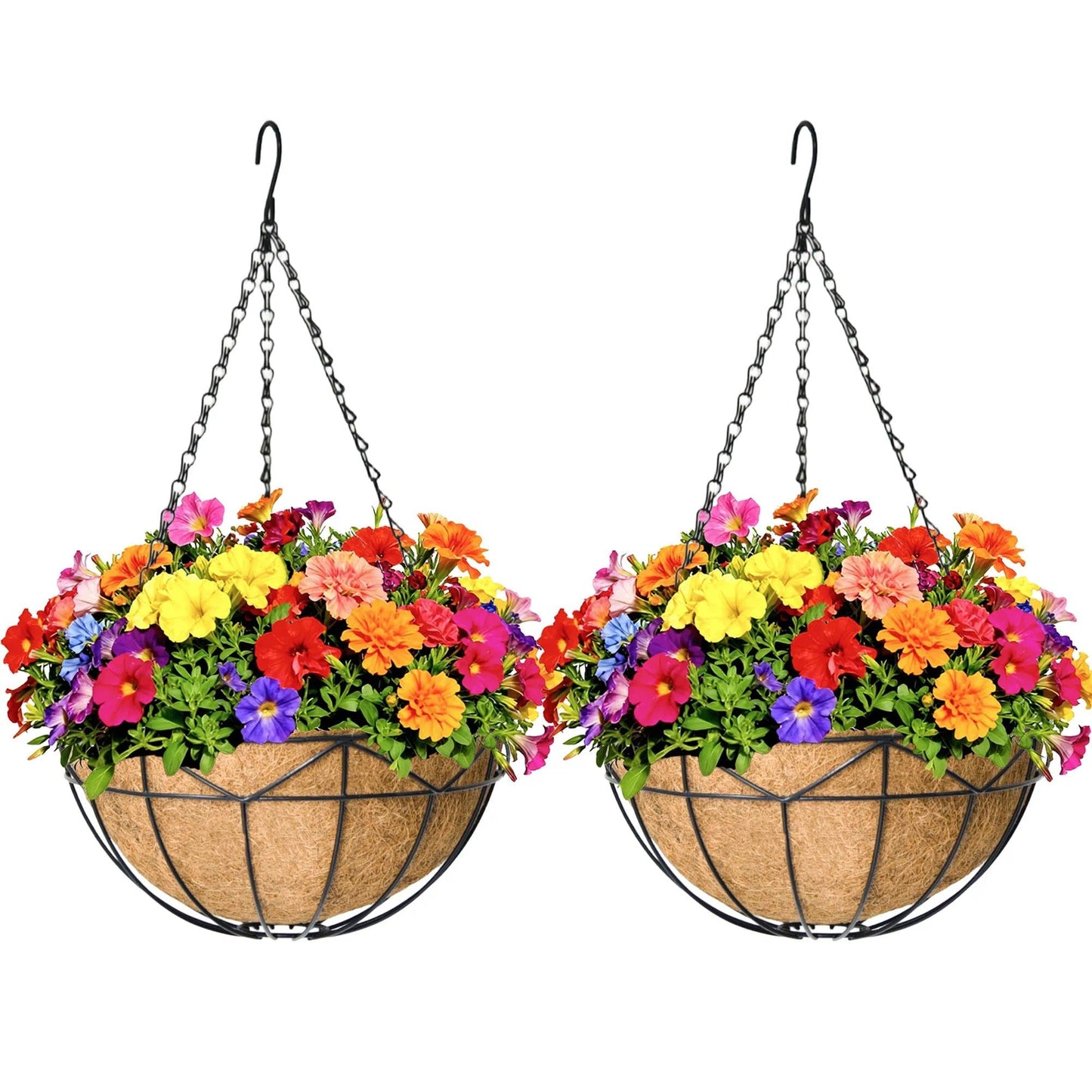 KIDYBELL Hanging Baskets for Outdoor Plants (12 inch 2 Pack) Black Metal Wire Flower Basket Coconut Coir Hanging Planters with Chain Indoor Plant Holder for Patio Garden Balcony