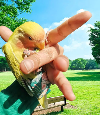 2 Pcs Bird Diapers Bird Harness Flight Suits Diapers with 80in Flying Leash Reusable Parrot Nappy with Waterproof Inner Layer for Cockatiel Budgie Conure Parakeet Lovebird-Red&Green