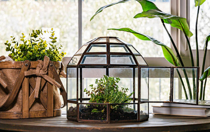 Urban Born Large Terrarium Birdcage, Glass and Metal Indoor Display Case, Unique Gift Idea, Succulent Container, Orchid Planter, Home Decor. (Bronze) 10" x 9"(Diameter)