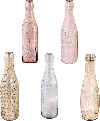 Evergreen Garden Glass Bottles for Bottle Tree, Wine Bottles for Decorativation Indoor Outdoor Wedding Christmas Party Decor (Mercury Glass, Set of 5)