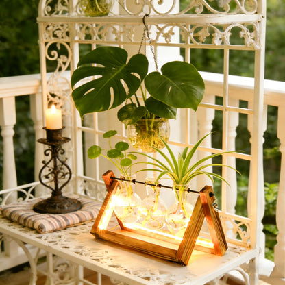 Plant Propagation Stations with LED Lights, Plants Terrarium with Retro Wooden Stand Glass Vase Hydroponics Planter Birthday Gift for Plant Lovers Home Garden Office Indoor Decoration-3 Bulb Vase