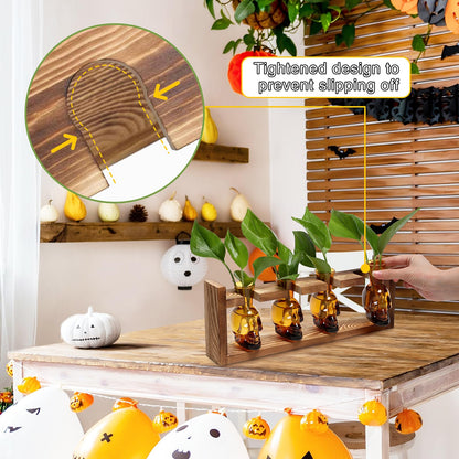 CYZglass Plant Propagation Stations Halloween Skull Plant Terrarium Kit Glass Vases Gift for Father Air Planter Home Office Decor