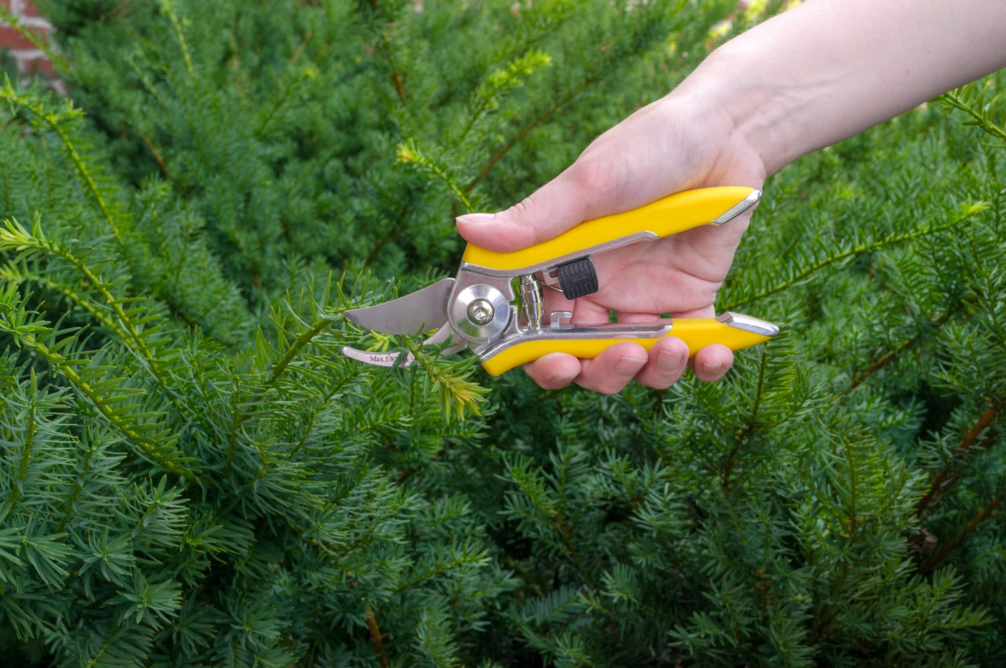 Dramm ColorPoint Stainless Steel Compact Garden Pruning Shears, Hand Pruner, Garden Clippers, with Heavy Duty Blade and Easy grip Handle, Blue