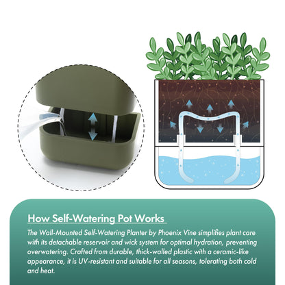 Phoenix Vine 6.5 Inch Wall Mounted Self-Watering Planter Pot for Indoor Houseplants and Herbs | Hanging Planter for Window Sills, Bathroom Walls, Home & Office Décor, Olive, Set of 3, 01-C-F-3