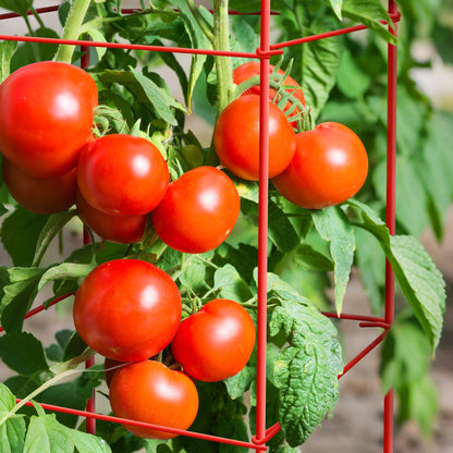 Thealyn Tomato Cages 6 Packs 57 Inches (H) Plant Stand with 164 Feet Twist Ties, Heavy Duty Garden Plants Support for Tomatoes, Cucumber, and Other Climbing Plants (Red)