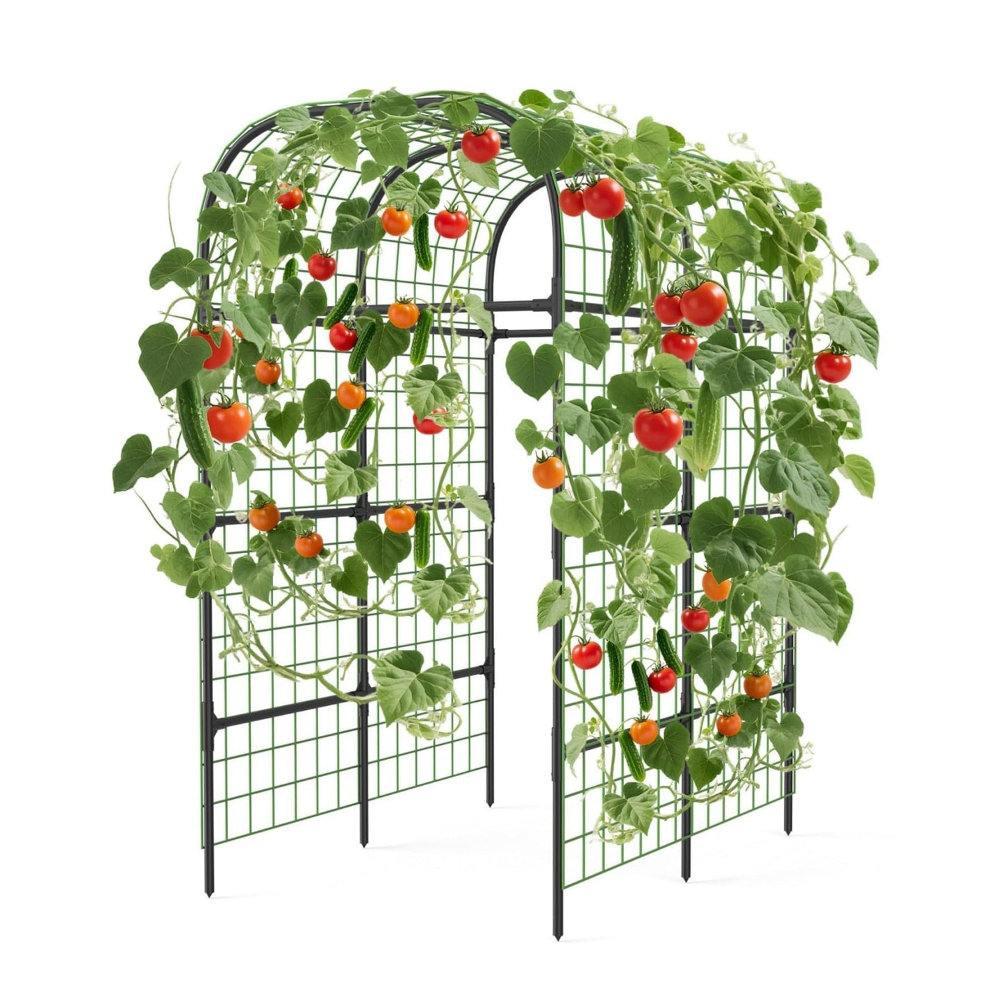 Metal Garden Arch Trellis, 7.3Ft Black for Raised Beds, Plant Support for Cucumbers & Climbing Vegetables