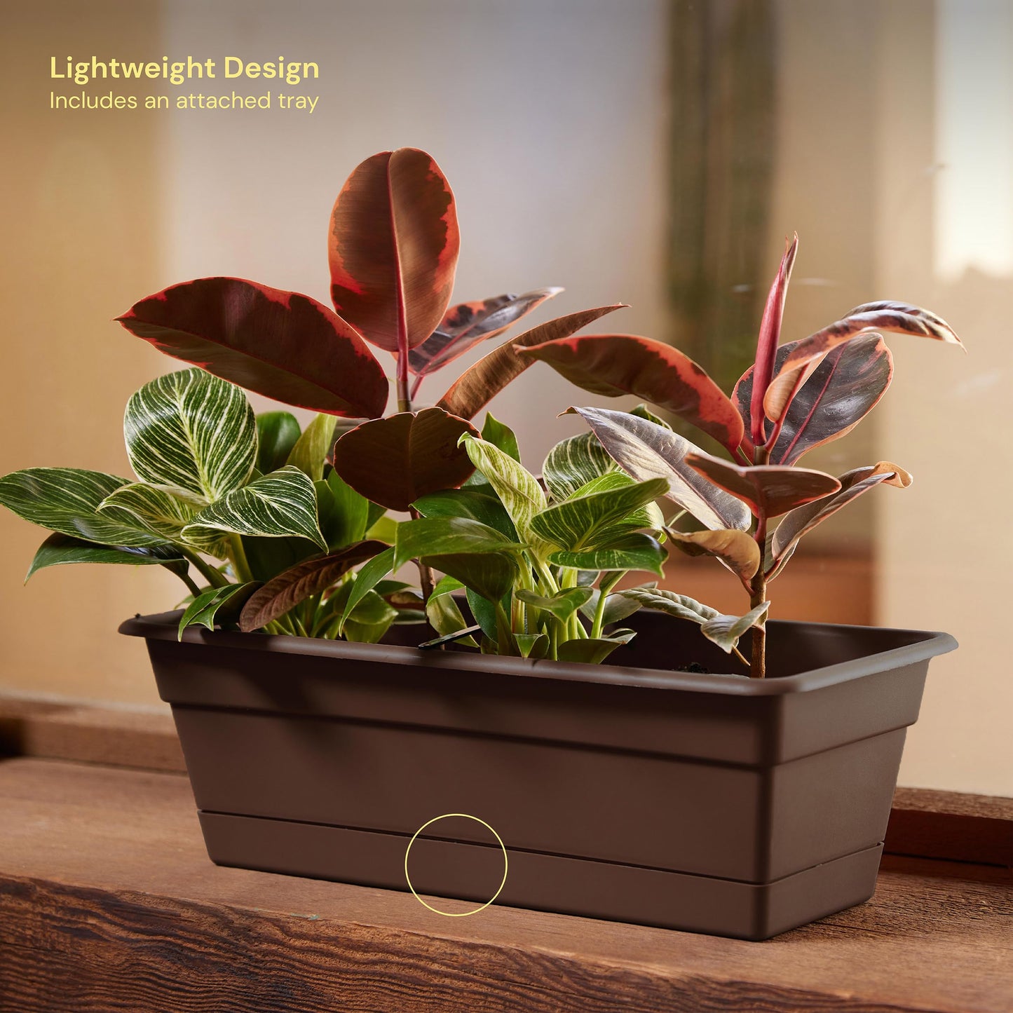 Bloem Dura Cotta Window Box Planter w/Tray, 18", Chocolate (DCBT18-45), 2 Gallon